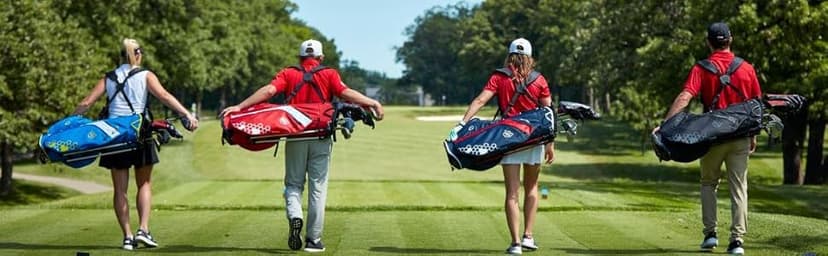 WILSON Profile Distance Golf Ball 36 pack