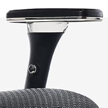 Oline ErgoPro Ergonomic Office Chair, Rolling Desk Chair with 4D Adjustable Armrest, 3D Lumbar Support, Blade Wheels, Mesh Computer Gaming Executive Swivel Chairs Chair (Black)