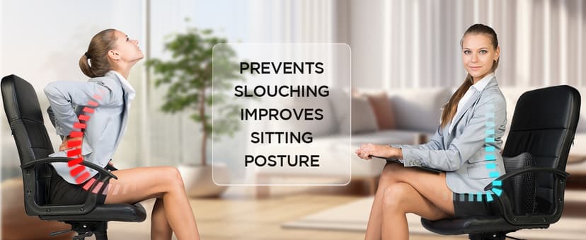 Lumbar Support Pillow for Office Chair, Car Lumbar Pillow Lower Back Pain Relief, Memory Foam Back Cushion with 4D Mesh Cover and Adjustable Straps, Ergonomic Chair Back Pillow for Car,Bed, Gaming