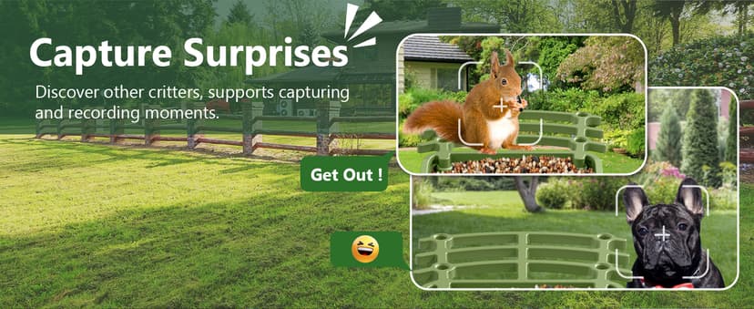 Smart Bird Feeder with Camera Solar Powered, AI Birds Species Identification, 2.5K HD Video Bird House with Camera for Outside, Weatherproof Design Ideal Gifts for Christmas, Bird Lovers, Green