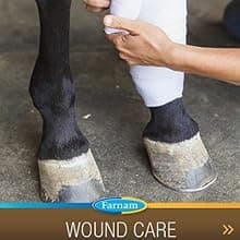 Farnam Vita Plus Balanced Multi-Vitamin & Mineral Horse Supplement, Provides Balanced Nutrition to Support Overall Health and Performance, 3.75 pounds, 30 Day Supply