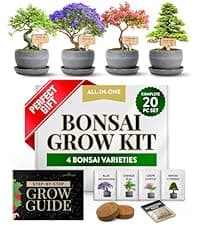 Bonsai Tree Kit - Gifts for Men & Women - Grow 4 Bonsai Trees - Unique Gardening Crafts for Adults, DIY Hobbies for Plant Lovers & Gardeners - Unusual Christmas Gift Ideas for Mom & Dad