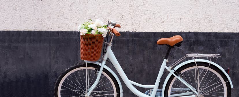 VIRIBUS Beach Cruiser Bike for Women, Single Speed Womens Bike with Basket & Rack 24 26 inch, Retro Step Through Cruiser Bicycle for Petite Short Women Female Ladies City Commuter, 330 lb.