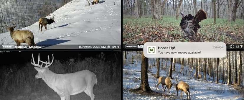 Moultrie Edge Solar Cellular Trail Camera - Integrated Solar Panel with Battery - 40MP - 1080p Video - Night Vision - Multi-Carrier LTE Auto-Connect - Built-in Memory - 0.4s Trigger Speed