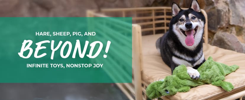 Best Pet Supplies 2-in-1 Stuffless Squeaky Dog Toys with Soft, Durable Fabric for Small, Medium, and Large Pets, No Stuffing for Indoor Play, Supports Active Biting and Play - 1Wild Duck, Small