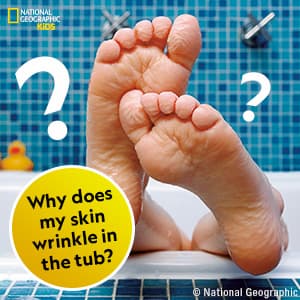 National Geographic Little Kids First Big Book of Why: Questions and Answers About the World for Curious Kids 1426307934