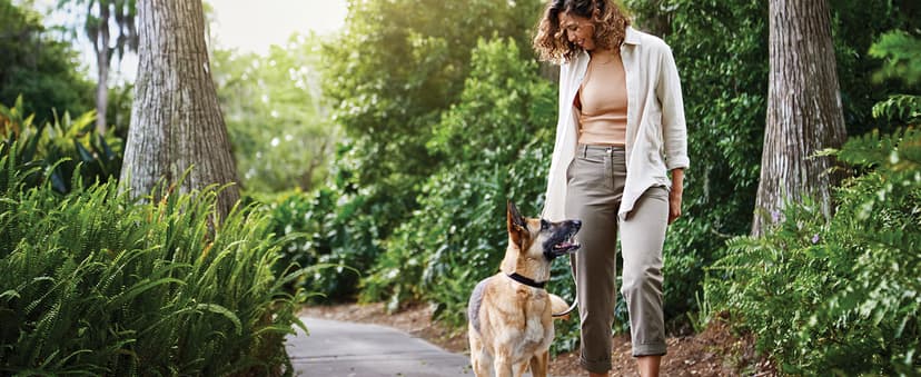 Purina Pro Plan Veterinary Supplements FortiFlora Dog Probiotic Supplement, Canine Nutritional Supplement - 30 ct. Box