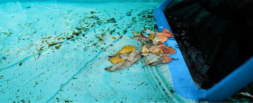 Pool Skimmer Net with Self-Repair Fine Nylon Mesh Bag, Pool Leaf Rake for Above Ground Pools & In-ground Pools, Pool Nets for Cleaning - Original Series(No Pole)