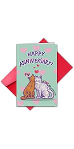 TQDaiker 1 Year Anniversary Card for Boyfriend, 1st Anniversary Card from Girlfriend, First Anniversary Card (You Survived 365 Days with Me)