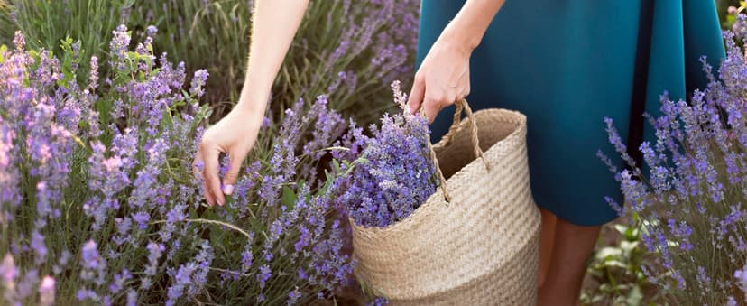 Homsolver 60th Birthday Gifts for Women Men, Happy 60th Birthday Decorations Candles Gift for Her Him, Funny 60 Years Old Ideas- Lavender Scented Candle