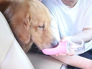 Feeding & Hydration | Travel Water Bowl | Portable Pet Dispenser | Dog Gifts | Puppy Essentials | for Hiking Camping Beach Cibaabo Dog Water Bottle Portable with Food Container & Filter for Travel B09F5ZYV7M