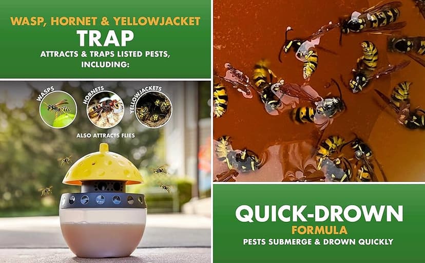 Spectracide Wasp, Hornet & Yellowjacket Trap, Hanging Wasp & Hornet Trap with a Quick-Drown Formula That Submerges & Kills Insects, 1 Count