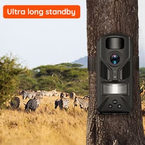 20MP Mini Trail Camera 1080P Hunting Trail Camera with No Glow 940nm Night Vision Motion Activated IP66 Waterproof,80ft Illumination Range Hunting Game Cam for Wildlife Monitoring- Grey-(2 Packs)