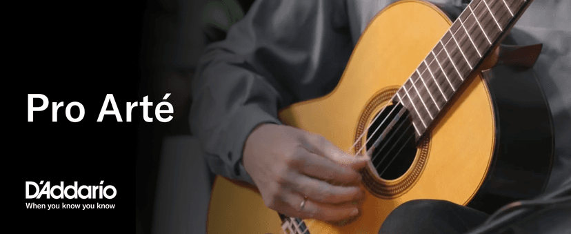 D'Addario Pro Arté Nylon Classical Guitar Strings, EJ45, Normal Tension, 6-String Set, Pack of 1