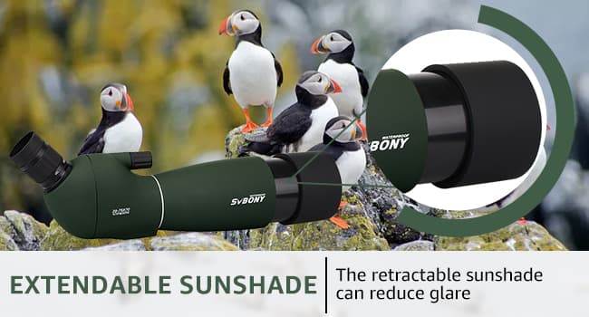 SVBONY SV28 Spotting Scopes with Tripod, Angled 25-75x70mm Spotter Scope with Phone Adapter, Waterproof Fogproof Spotting Scope for Bird Watching, Target Shooting, Wildlife Viewing