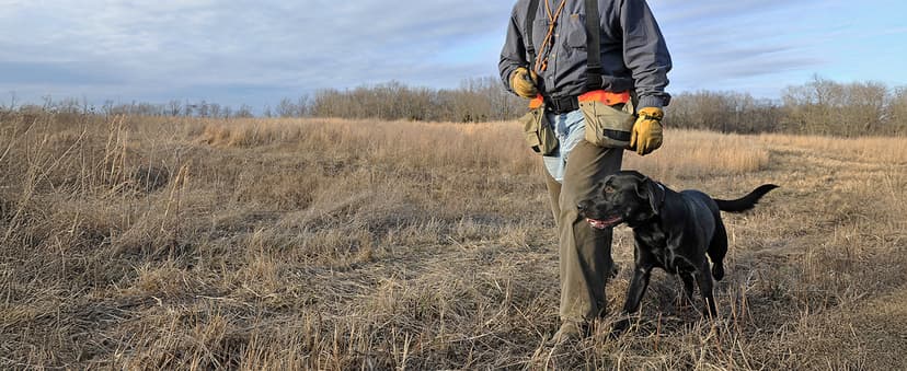 SportDOG FieldTrainer 425X - Remote Trainer Designed for Off-Leash Control & Training - 500-Yard Range - Waterproof - Quick Charge-Collar with 21 Levels of Static, Tone, & Vibration