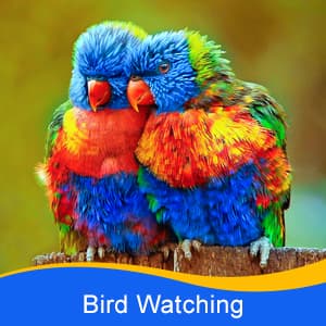 LET'S GO! Binocular for Kids, Compact High Resolution Shockproof Binoculars