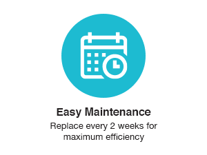 Intex Swimming Pool Easy Set Filter Cartridge Replacement - Type H (4 Pack)