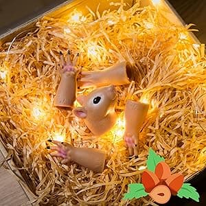 AQKILO Squirrel Finger Puppet Set, Animals Puppet Show Theater Props, Novelty Toys Weird Stuff Gifts