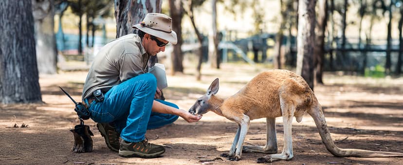 NORTIV 8 Men's Waterproof Hiking Shoes Leather Low-Top Hiking Shoes for Outdoor Trailing Trekking Camping Walking