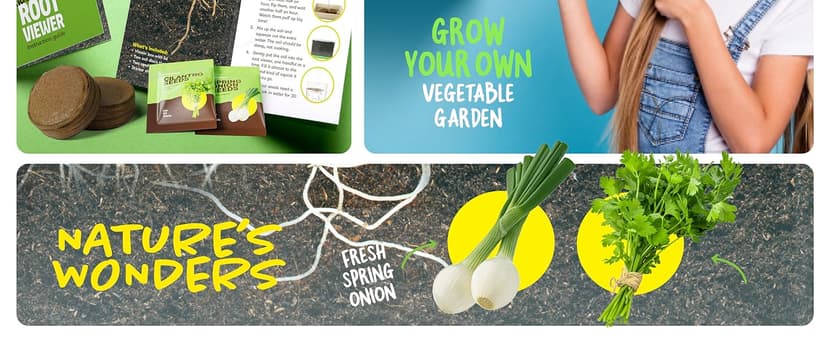 Birthday Gifts for Boy, Girl 4, 5, 6, 7, 8, Year Old - Science STEM Toy & Craft Growing Kits for Ages 4-8, 6-8 Years Root Viewer Kit for Kids - Grow Your Own Plant for Boys & Girls Gifts B0CRK33YXD