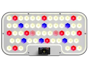 Plant Germination Kit Herb Vegetable Growth Lamp Countertop, Hydroponic Planter Grower Harvest Lettuce for Healthy Home Cooks Ahopegarden Indoor Garden Hydroponics Growing System: 10 Pods Kit with LED B0B6BB4TVC