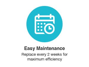 (Pack of 6) Intex 29000E/59900E Easy Set Pool Replacement Type A or C Filter Cartridge