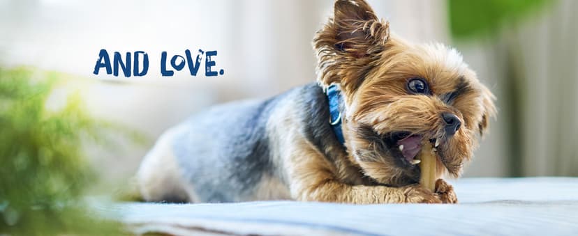 Purina Busy Bone Adult Dog Chew Bone Treats, Peanut Butter - 10 ct. Pouch