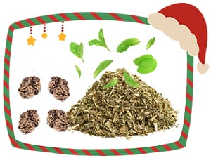 Batman: The Animated Series: Official Coloring Book