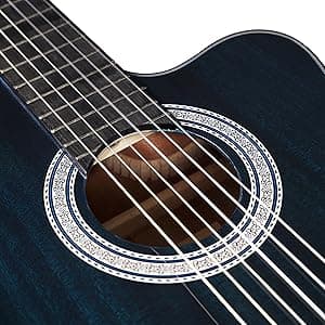 WINZZ AC309CE 39 Inches Cutaway Nylon-string Classical Electric Guitar Build-in Pickup Kit Set Online Lessons, Blue
