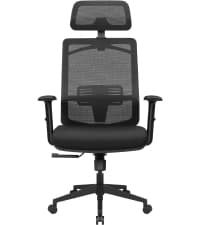 Furmax Office Chair Ergonomic Computer Desk Mesh Chair Mid Back Swivel Lumbar Support with Armrest (1, Black)
