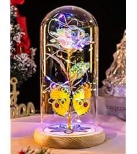 Christmas Flowers Gifts for Women, Mom Birthday Gifts for Christmas, Galaxy Glass Rose Forever Preserved Flowers Eternal Crystal Roses Xmas Gifts for Grandma Wife Sister Her Friends, Colorful