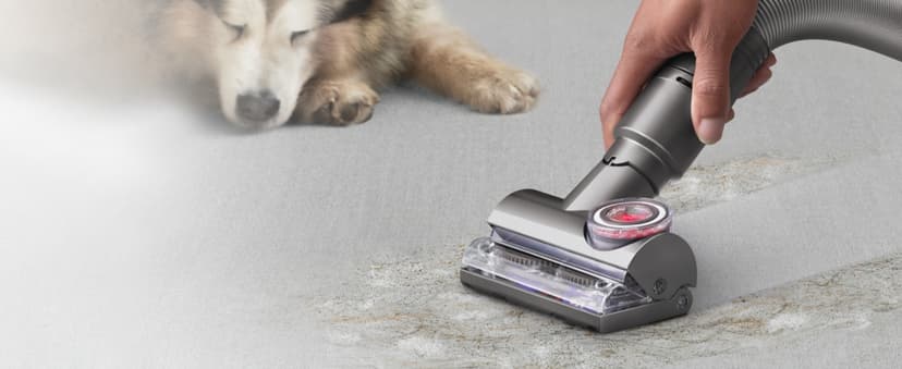 Dyson Ball Animal Total Clean Upright Vacuum, Corded, 290AW, Self-Adjusting Cleaner Head for All Floors, Homes with Pets