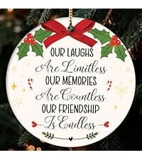 NewEleven Neighbor Gift - Thank You Gifts, Gifts for Neighbors and Friends, Men, Women - Cute Neighbor Ornament for Friend, Neighborhood - Christmas Ornament