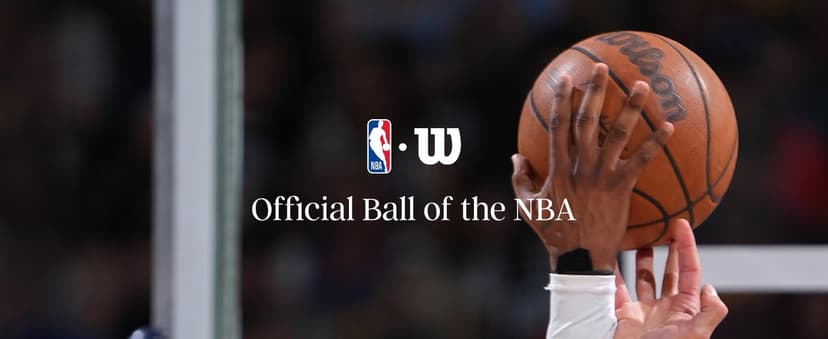 WILSON NBA Forge Indoor/Outdoor Basketballs - Size 5, Size 6 and Size 7