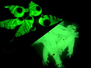 QualyQualy Ice Fishing Rod Reel Combo Complete Set Ice Fishing Gear with Backpack Seat Ice Cleats Ice Fishing Jigs Line Full Ice Fishing Kit 24" 26"