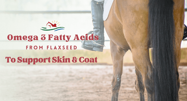 Manna Pro Weight Accelerator for Senior Horses – Weight Gain and Muscle Support Supplement with Omega 3 Fatty Acids and Flaxseed – High-Calorie Feed Topper for Horses – 8 lb Bag