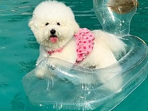 Dog Pool Float, Funny 6-in-1 Inflatable Dog Floats for Pool, Pet Floatie Raft for Small Dogs, Puppy and Doggies, Pink Flamingo