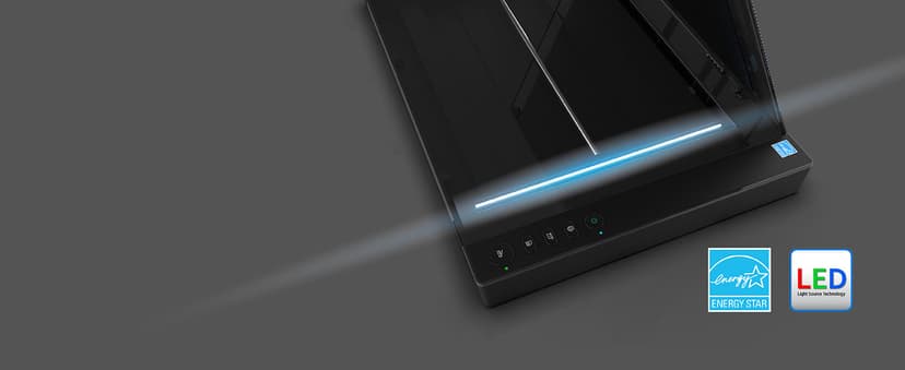 VIISAN 3120 A3 Flatbed Scanner, 1200 DPI, CIS Sensor, Scan 11.7" x 16.7" in 8 sec, Frameless, Auto-Scan, Document & Photo & Book Scanner, Design for Library, School and Soho. Supports Windows & Mac