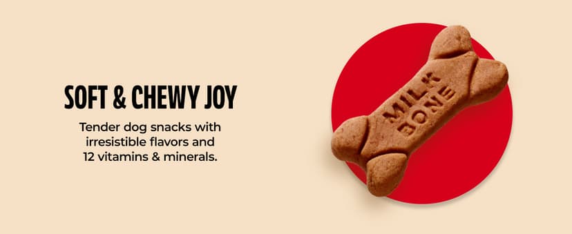 Milk-Bone Holiday Dog Biscuits, 24 oz Collectible Holiday Tin B08WHBRJ9B