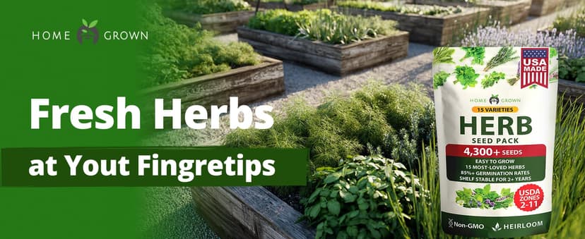 15 Culinary Herb Seeds - Heirloom & Non GMO - High Germination Rate - Seeds for Planting Indoor Hydroponic or Outdoor Herbs Garden | Gardening Gift Men Women Gardeners - Basil, Cilantro, Mint B07JCFWJ98