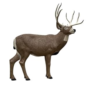 Rinehart 1/3 Scale Woodland Elk 3D Archery Target | Scaled Elk with Replaceable Vital Insert | Broadhead & Field Point Compatible | Self-Healing Foam | Made in USA