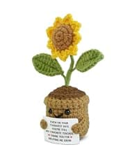 OASSIE Teacher Gifts for Women - Mini Handmade Positive Apple Crochet with Message Card - Teachers Day Christmas Birthday Graduation Appreciation Thank You School Gifts for Students Teachers Women