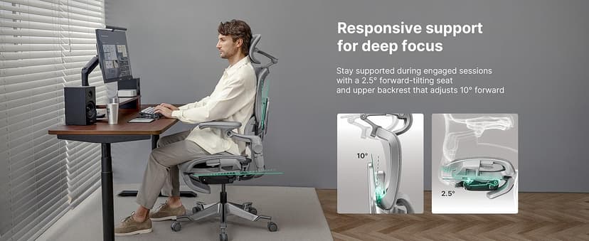 HINOMI H2 Pro Premium Ergonomic Office Chair - Comfy Home Office Desk Computer Chair with Adjustable Back Support, Swivel Wheels, Flip-up Arms, Comfortable Mesh Seat for Desk Work (Gray)