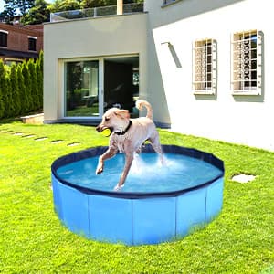 Dog Pool, Foldable Pet Swimming Pool with 6mm High-Strength PP Board, Hard Plastic Collapsible Doggy Pools for Small Dogs Kitty Duck,Non-Slip Doggie Bathtub Quick to Set Up and Drainage Hole(32x8in)