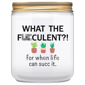 Funny Gifts for Friend Women Unique Birthday Christmas Gift for BFF Best Friend Cactus Succulents Friendship Presents for Sister Female Coworker Men - Lemongrass Sage Candles(7oz)