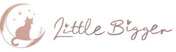 Christmas Gifts - A Sweet Friendship Refreshes The Soul - JewelryTray, Friendship Gifts for Women, Bible Verse Jewelry Dish, Christian Gifts Jewelry Dish, Best Friend Birthday Gifts for Women