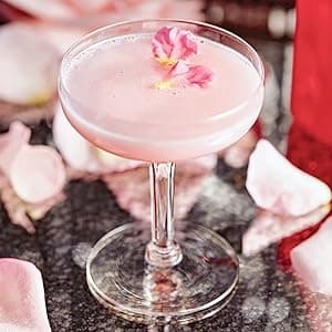 Gotham City Cocktails: Official Handcrafted Food & Drinks From the World of Batman