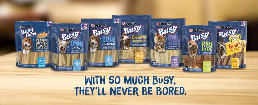 Purina Busy Bone Adult Dog Chew Bone Treats, Peanut Butter - 10 ct. Pouch