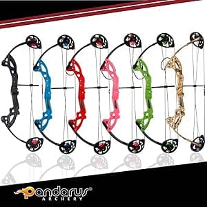 Compound Bow Archery for Youth and Beginner, Right Handed,19”-28” Draw Length,15-29 Lbs Draw Weight, 260 fps